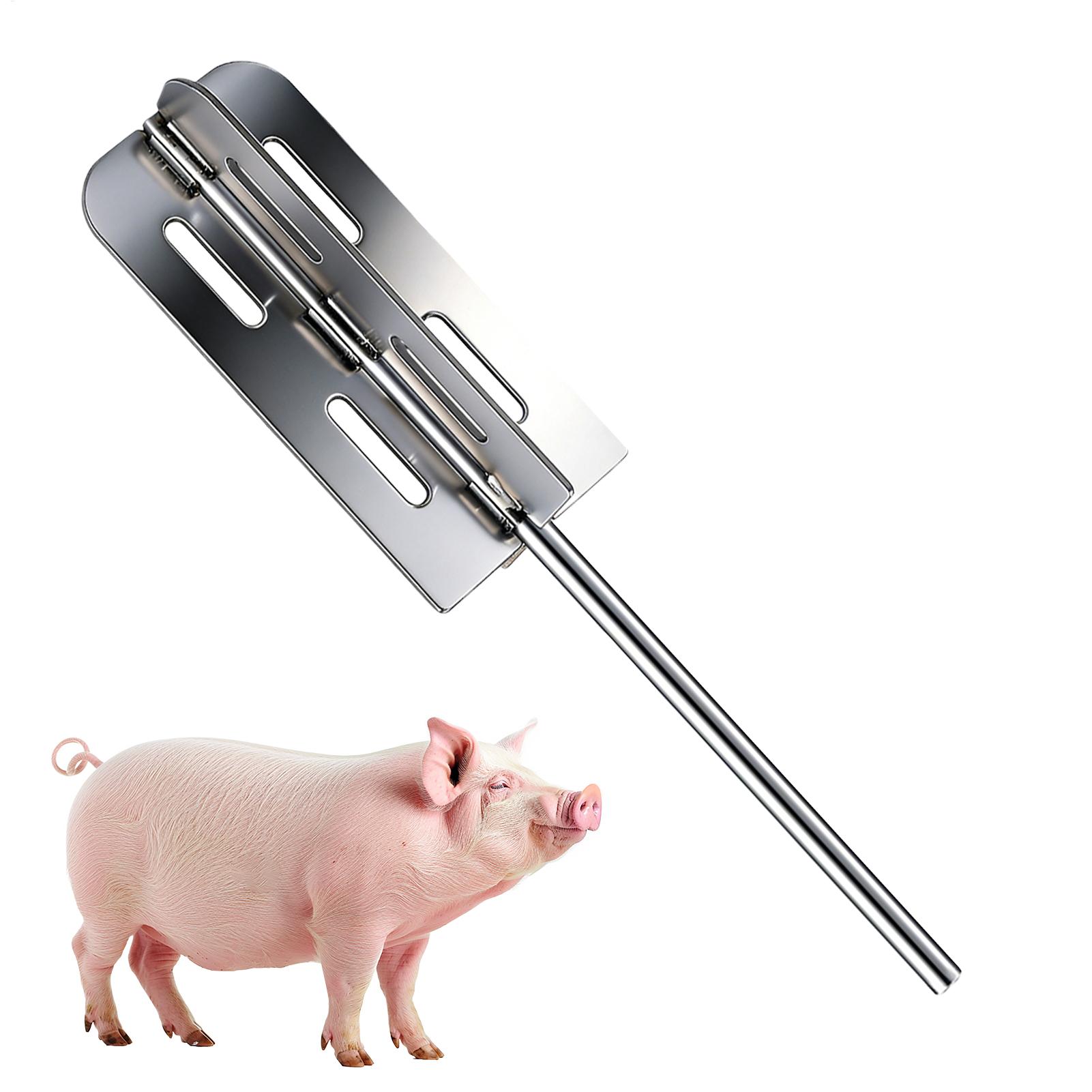 Power Tools On Sale - Hog Hair Removal Tool Stainless Steel
